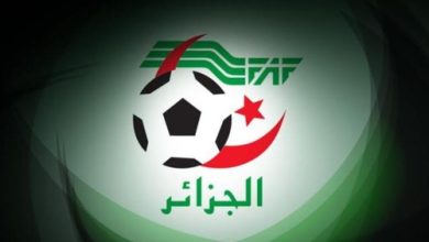 دوري المحترف