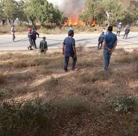 المنطقة السياحية ولبان تحترق