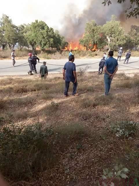 المنطقة السياحية ولبان تحترق