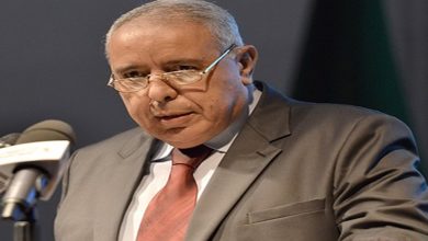وزير العمل والتشغيل والضمان الاجتماعي السيد محمد الغازي