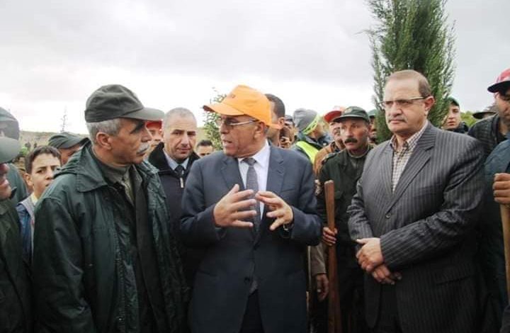 ولاية سطيف تحتفي باليوم الوطني للشجرة تحت شعار "شجرة لكل مواطن"