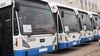 خطوط النقل باتنة