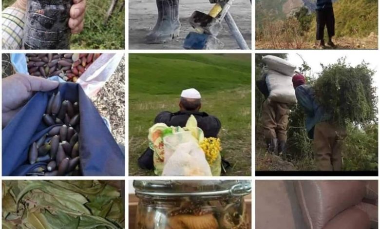 رجل البرية يصنع من الأعشاب ماينفع صحة الإنسان