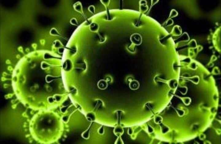 فيروس كورونا