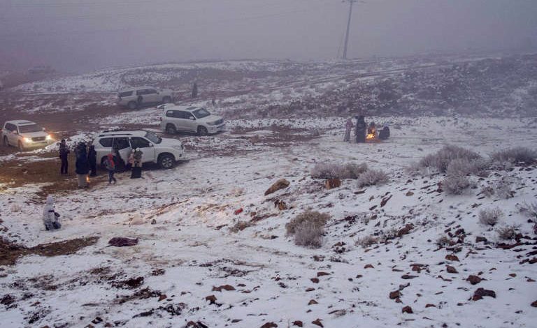 سعوديون يلعبون في الثلوج في جبل اللوز في تبوك